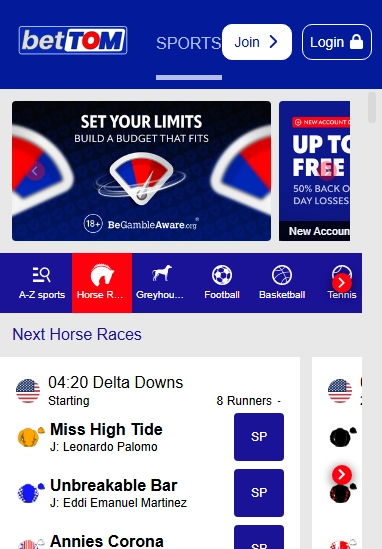 BetTOM Casino